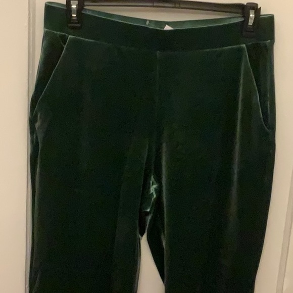 NWT Loft velvet pull on green pants. - Picture 2 of 4